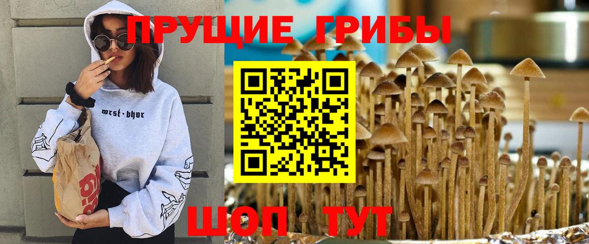 Галлюциногенные грибы Psilocybine cubensis  купить закладку  Бутурлиновка  Вход с VPN 